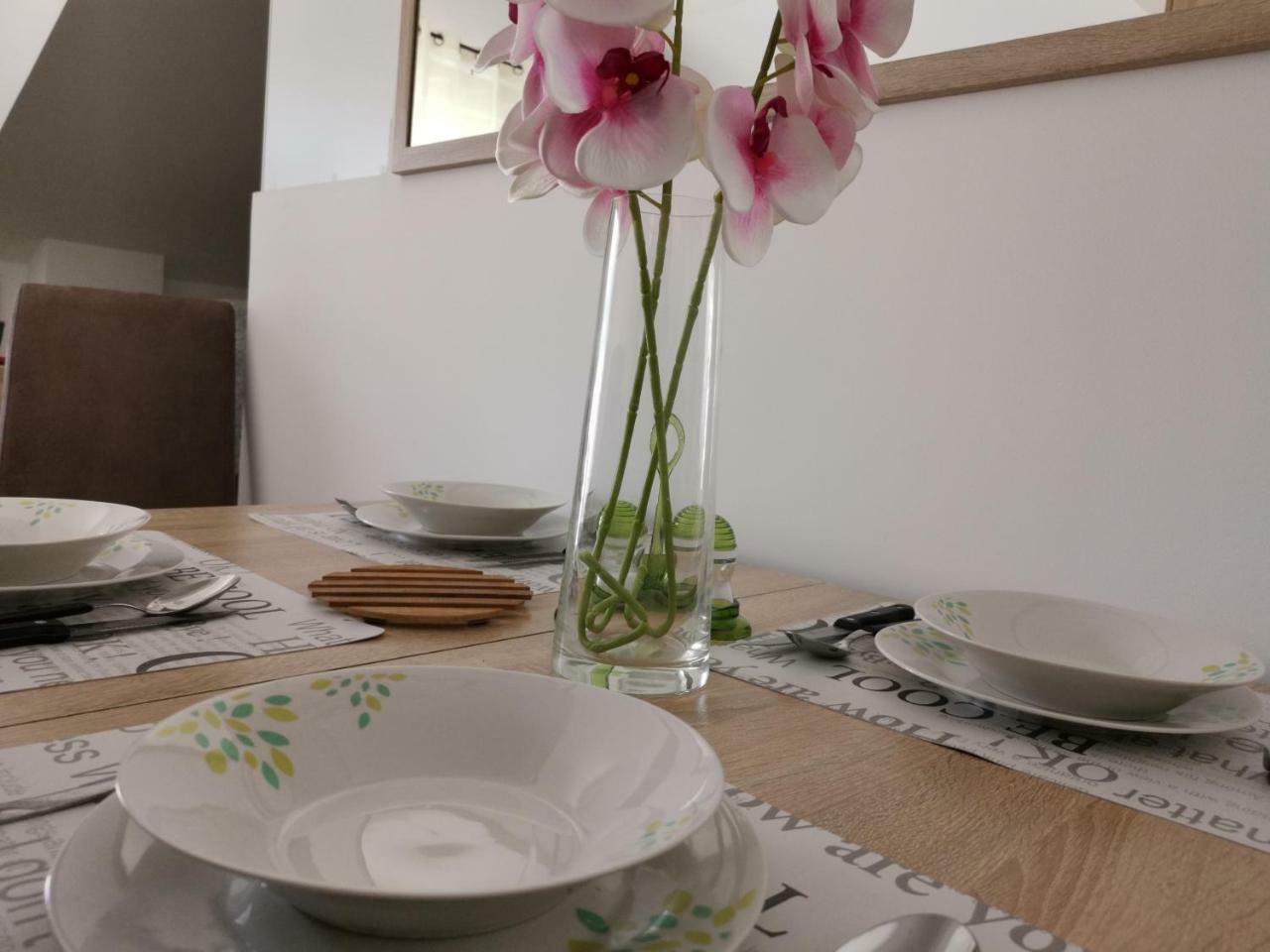 בודווה Apartman Maximus מראה חיצוני תמונה